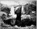 Click for full size image of Tormore 2 (PID:94280) Tormore 2