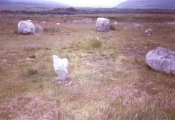 Click for full size image of Machrie Moor 4 (PID:12124) Machrie Moor 4