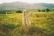 Moss Farm Stone