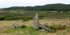 Click for full size image of Tormore 2 (PID:110939) Tormore 2