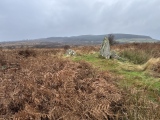 Click for full size image of Tormore 2 (PID:280760) Tormore 2