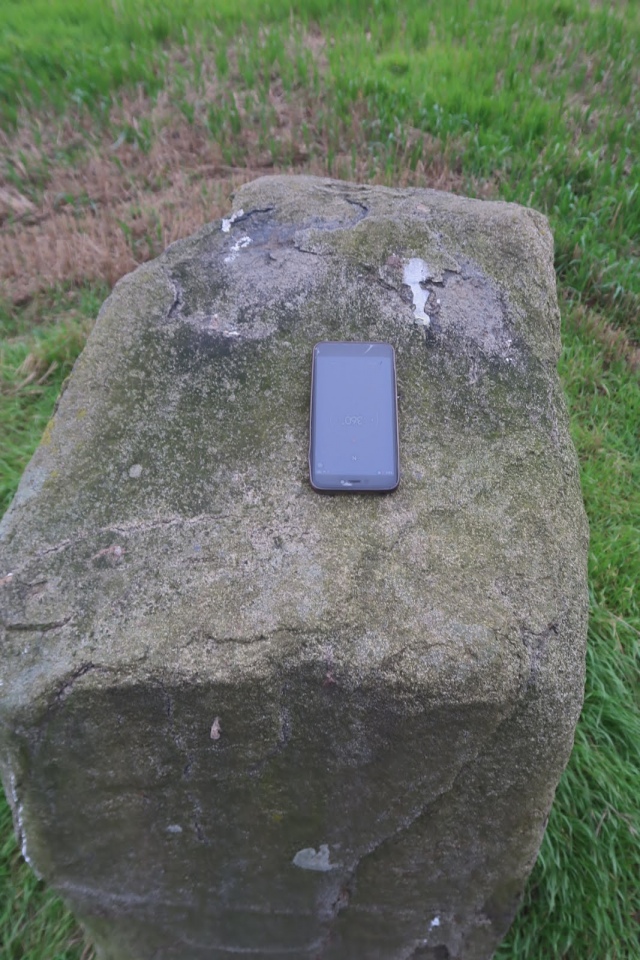 Click for full size image of Gogar Stone (PID:234903) Gogar Stone