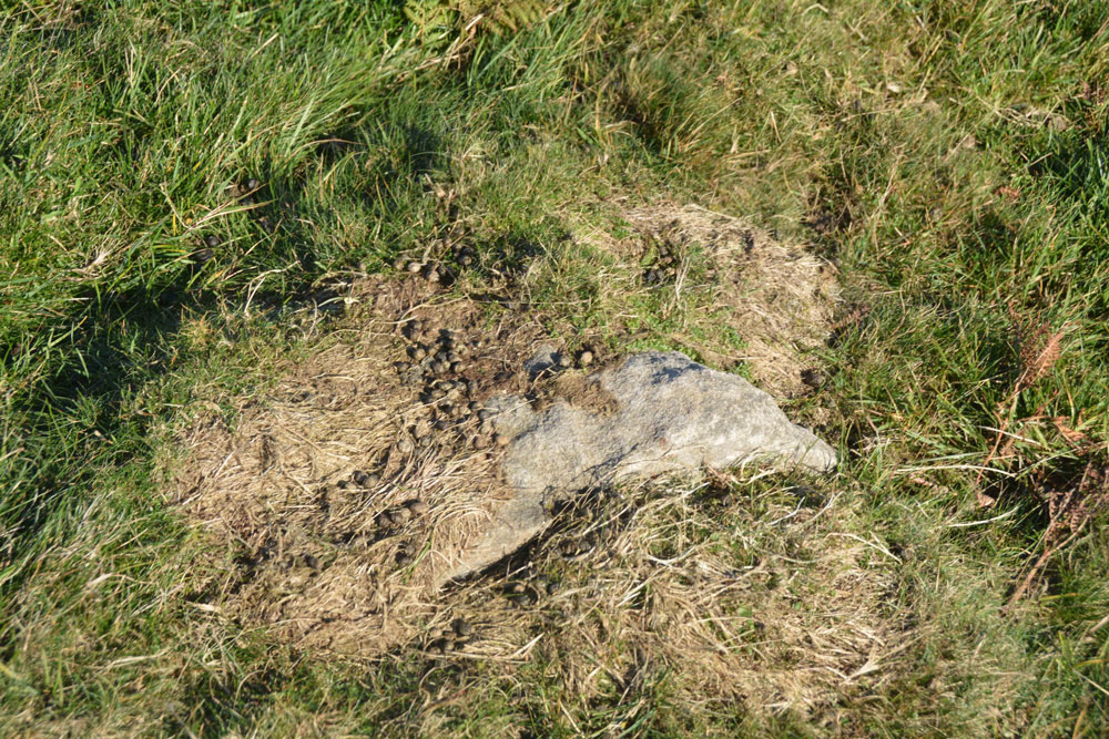 Mayshiel Stone Circle