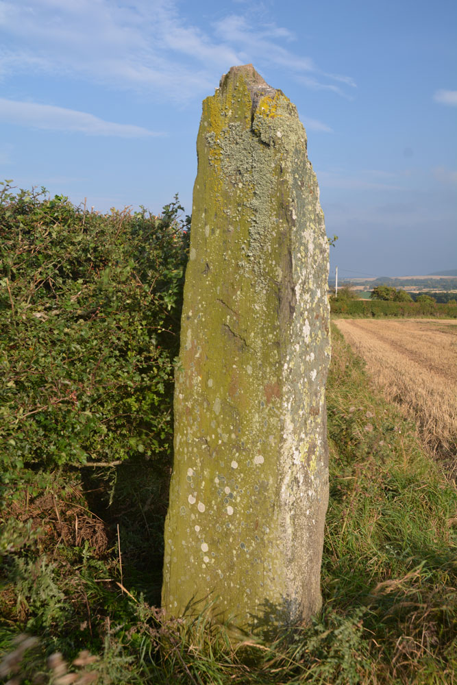 Loth Stone