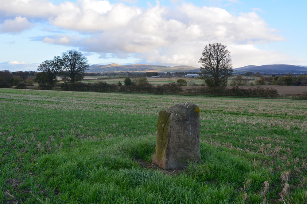 Click for full size image of Gogar Stone (PID:187990) Gogar Stone