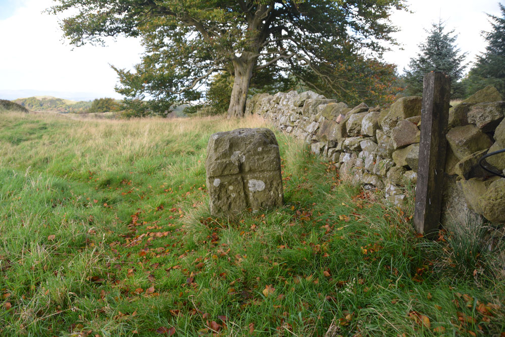 Click for full size image of Craigmailing Boundary Marker (Torphichen) (PID:172533) Craigmailing Boundary Marker (Torphichen)