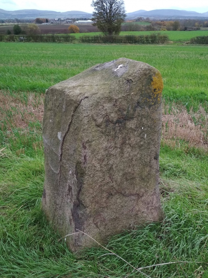 Click for full size image of Gogar Stone (PID:234902) Gogar Stone