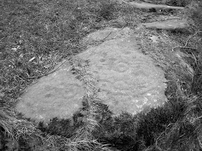 Tormain Hill (PID:28077) Tormain Hill
