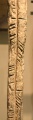 Click for full size image of National Museum of Scotland (Early Christian Stones) (PID:182128) National Museum of Scotland (Early Christian Stones)