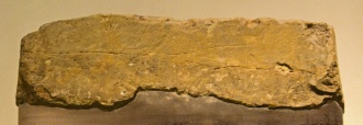 Click for full size image of National Museum of Scotland (Early Christian Stones) (PID:182329) National Museum of Scotland (Early Christian Stones)