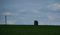 Click for full size image of Gogar Stone (PID:165944) Gogar Stone