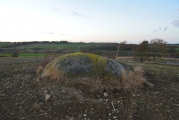 Boar Stone (Armadale)