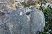 Click for full size image of Buck Stane (PID:187957) Buck Stane
