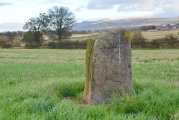 Gogar Stone