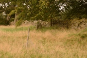Click for full size image of Craigmailing Boundary Marker (Torphichen) (PID:172532) Craigmailing Boundary Marker (Torphichen)