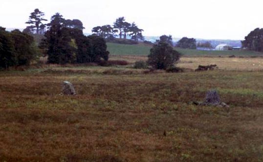 Bogton Mill