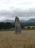 Tullochgorum Stones - PID:5120