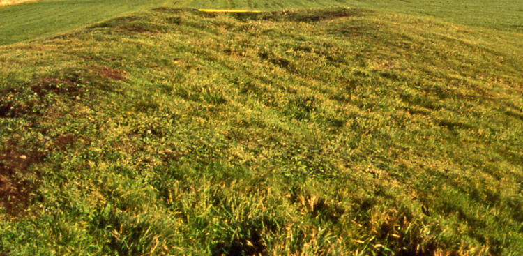 Click for full size image of Saverock (2) (PID:55602) Saverock (2)