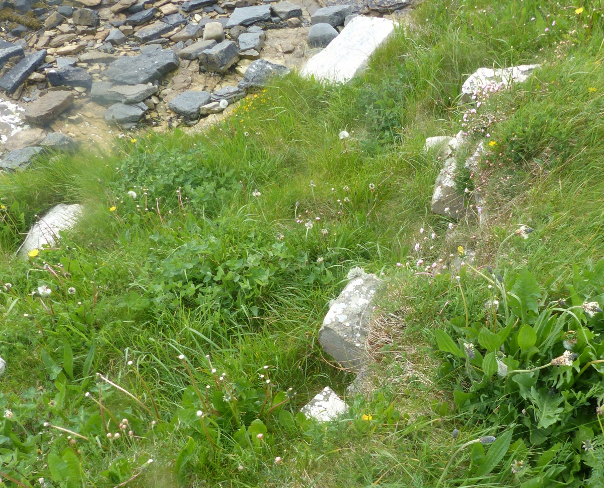 Click for full size image of Broch of Steiro (PID:229015) Broch of Steiro