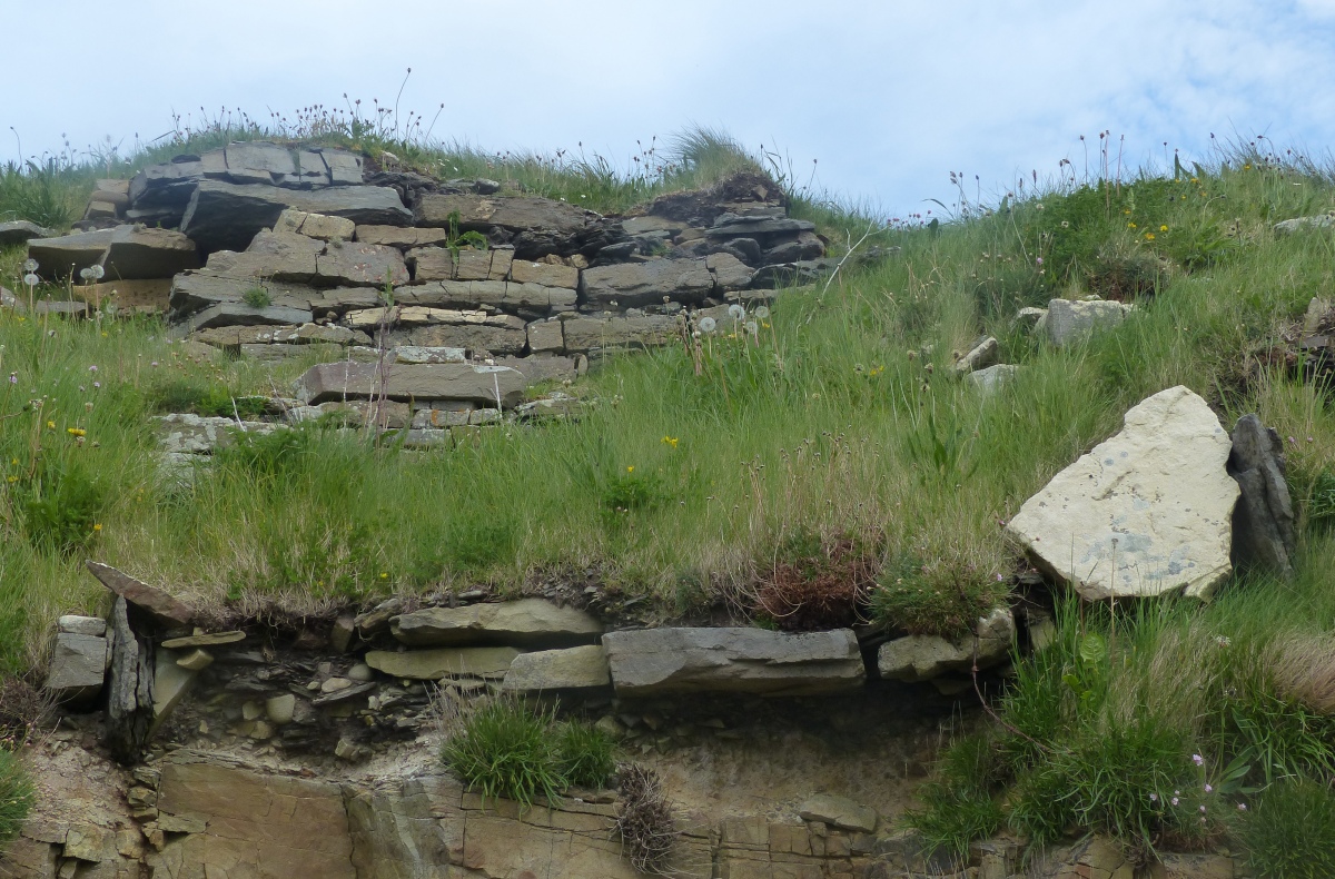 Broch of Steiro (PID:229009) Broch of Steiro