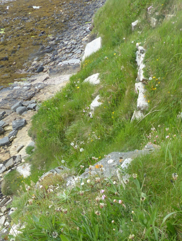 Click for full size image of Broch of Steiro (PID:229013) Broch of Steiro