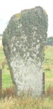 Barnhouse Stone - PID:23373