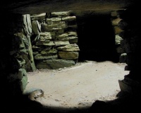 Isbister: Tomb Of The Eagles - PID:39948