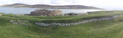 Click for full size image of Gurness (PID:88198) Gurness