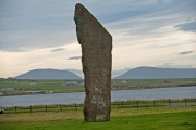 Click for full size image of Stenness (PID:149668) Stenness