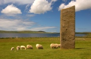 Click for full size image of Stenness (PID:85994) Stenness