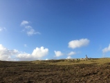 Crooksetter Hill - two Chambered Cairns
