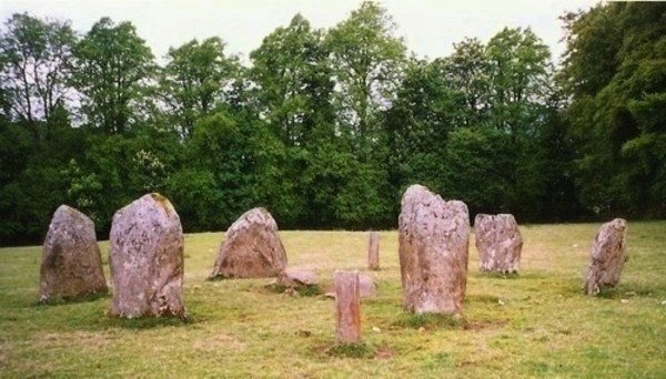 Click for full size image of Kinnell (PID:110432) Kinnell
