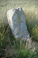 Quinloch Muir Stones