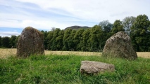 Click for full size image of Kinnell (PID:230746) Kinnell