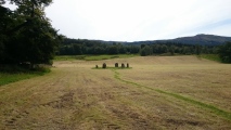 Click for full size image of Kinnell (PID:230745) Kinnell