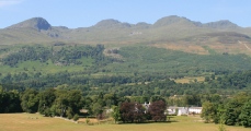 Click for full size image of Kinnell (PID:110779) Kinnell