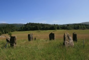 Click for full size image of Kinnell (PID:110781) Kinnell