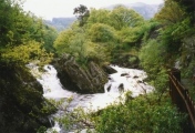 Click for full size image of Kinnell (PID:110433) Kinnell