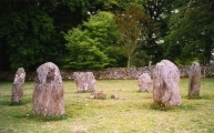 Click for full size image of Kinnell (PID:110435) Kinnell