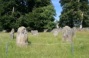 Click for full size image of Kinnell (PID:110784) Kinnell