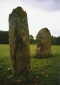 Click for full size image of Kinnell (PID:110203) Kinnell
