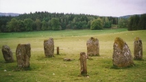 Click for full size image of Kinnell (PID:110202) Kinnell