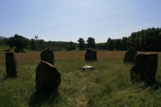 Click for full size image of Kinnell (PID:110782) Kinnell