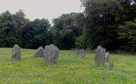 Click for full size image of Kinnell (PID:59327) Kinnell
