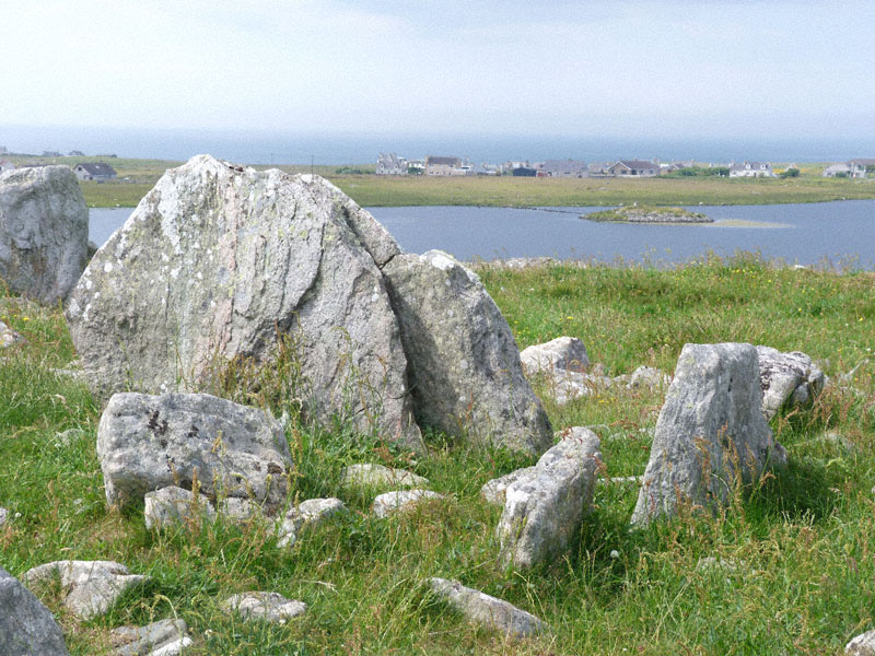 Click for full size image of Steinacleit (PID:110667) Steinacleit