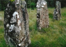 Maol Mor - PID:107846