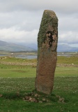 Tirghoil - PID:102229