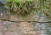 Click for full size image of Ballochmyle (PID:1878) Ballochmyle