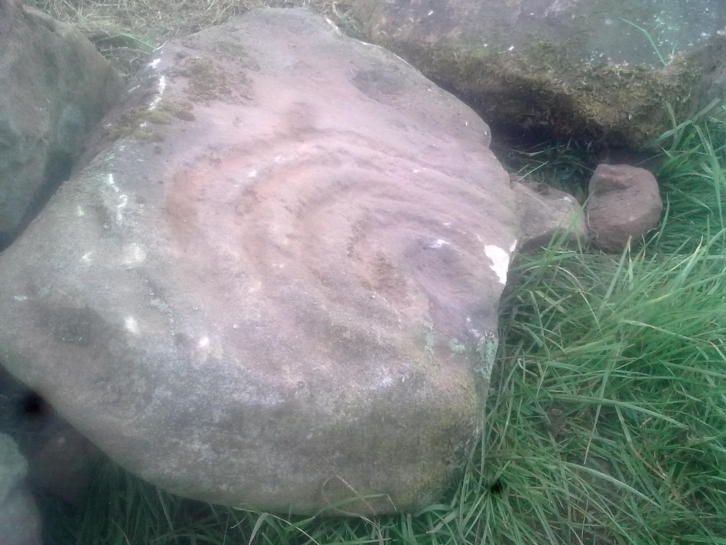 Dunsyre cup and ring marked stone