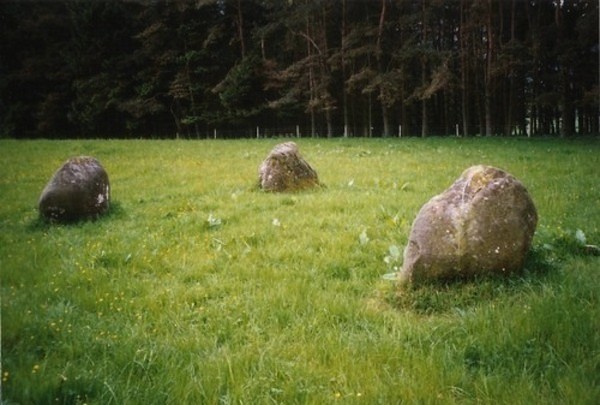 Click for full size image of Fortingall SW (PID:110442) Fortingall SW